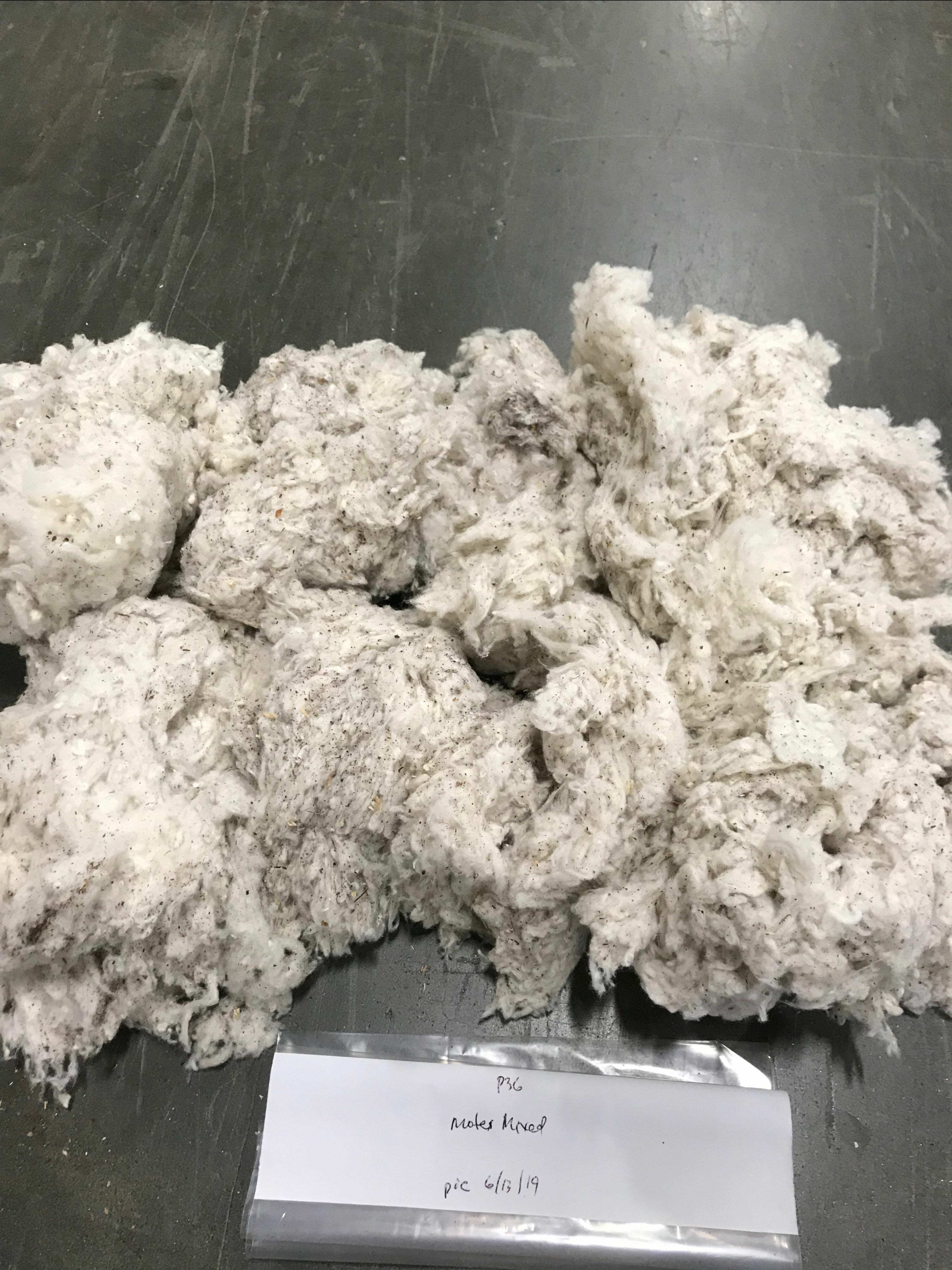 100% Cotton Motes